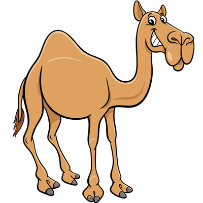 Сканворд: Верблюд - 7 букв